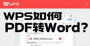 WPS Office PDF转Word操作步骤：轻松编辑PDF内容？