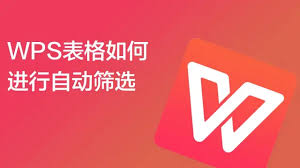 WPS表格数据筛选与排序技巧，快速定位关键数据？